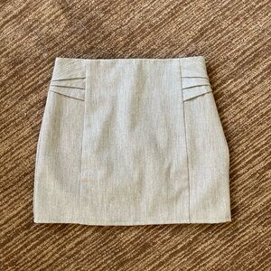 Express Mini Skirt